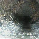 Sewer scope inspection root intrusion