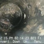 Sewer pipe root intrusion